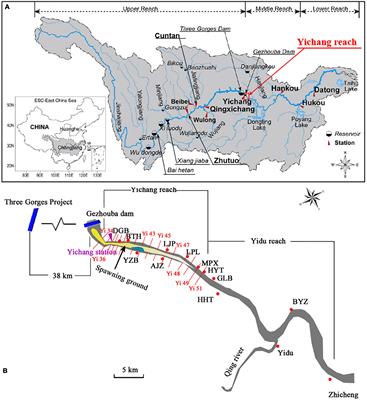 3 gorges dam case study